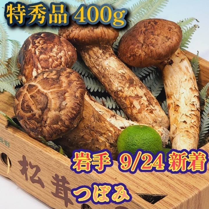 岩手県産天然松茸約400g - 野菜