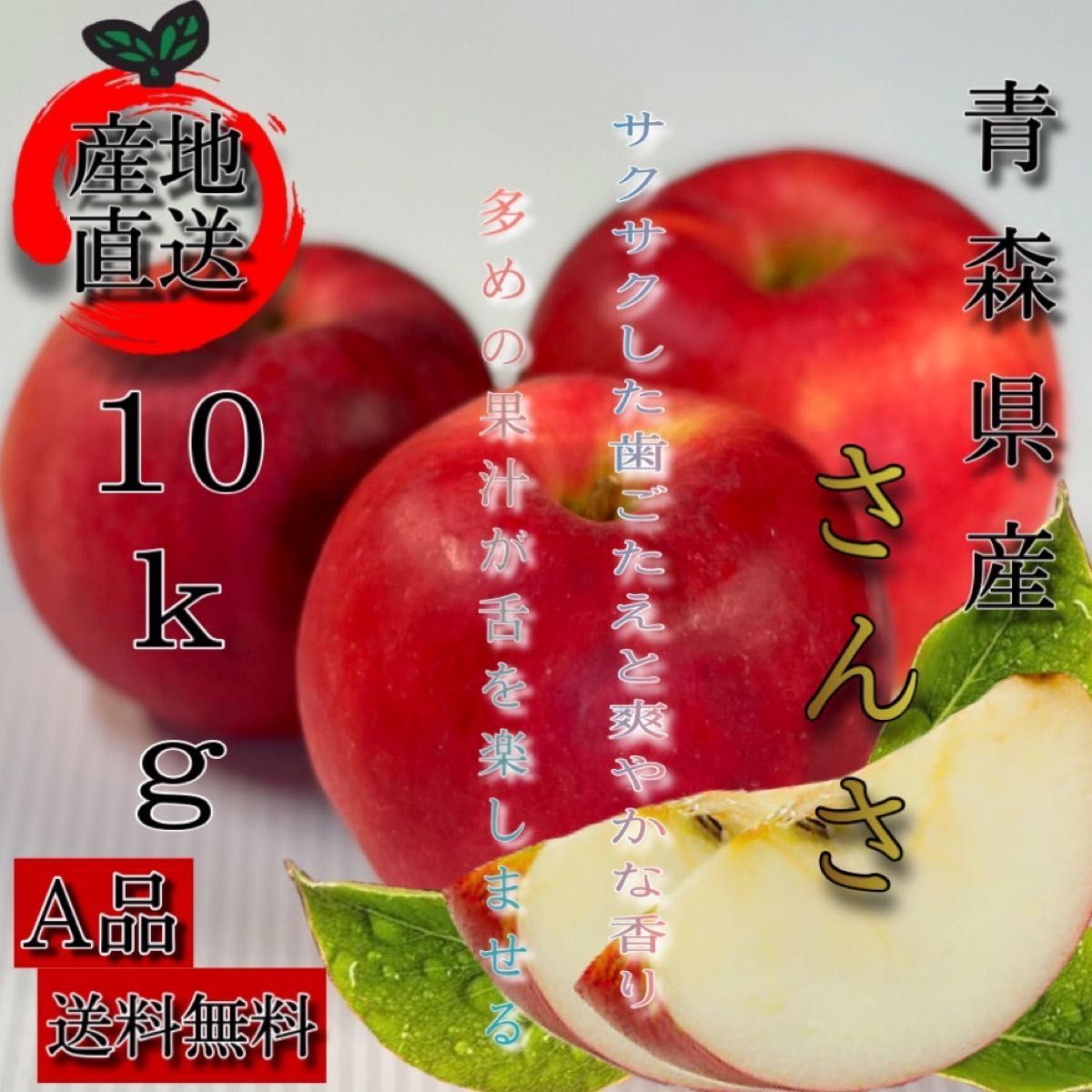 青森県産  黄王  りんご 家庭用 10kg  産地直送 リンゴ