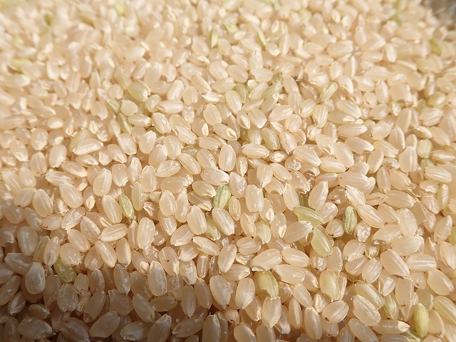 古米玄米