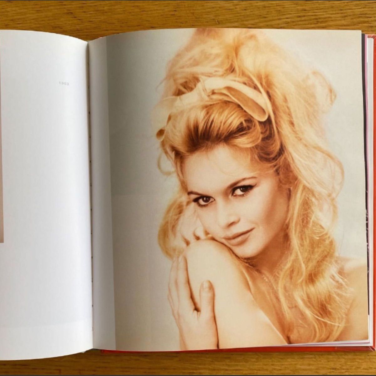 ブリジット・バルドー 写真集 初版3000部限定 BRIGITTE BARDOT PAR SAM LE’VIN