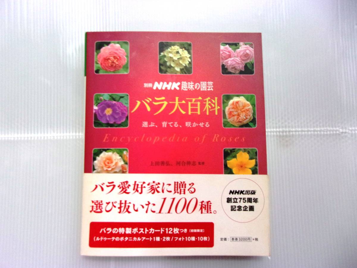 ★別冊 NHK 趣味の園芸 バラ大百科／上田 善弘、河合 伸志 監修／中古本★_画像1