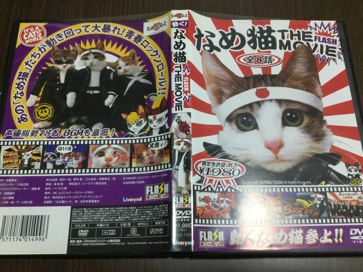 ◇免許証なし 動作OK ◇なめ猫 THE MOVIE DVD 国内正規品 FLASH ねこ 猫 ネコ 即決_画像1