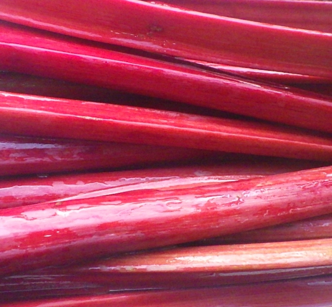 ◎赤い茎のルバーブ　自家採取　3０粒　ジャムのレシピつき　自家採種_画像2