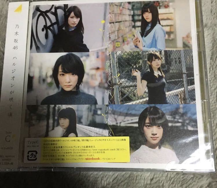 ハルジオンが咲く頃(Type C) 初回仕様 乃木坂46 新品未開封a_画像1