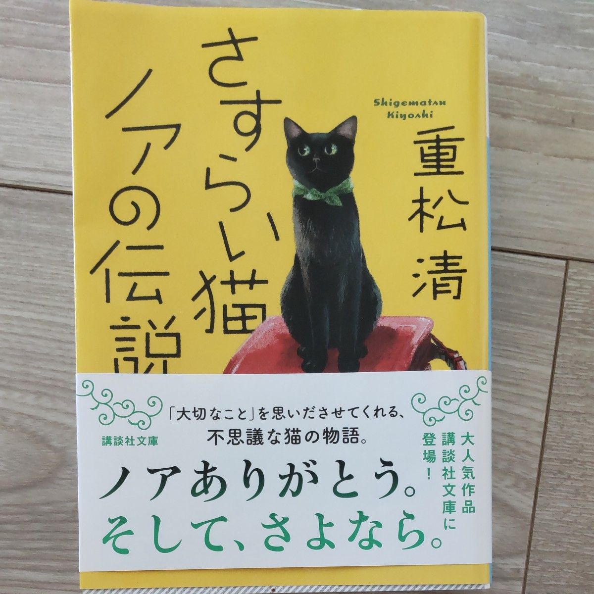 さすらい猫ノアの伝説  ２冊目から同梱で200円引き