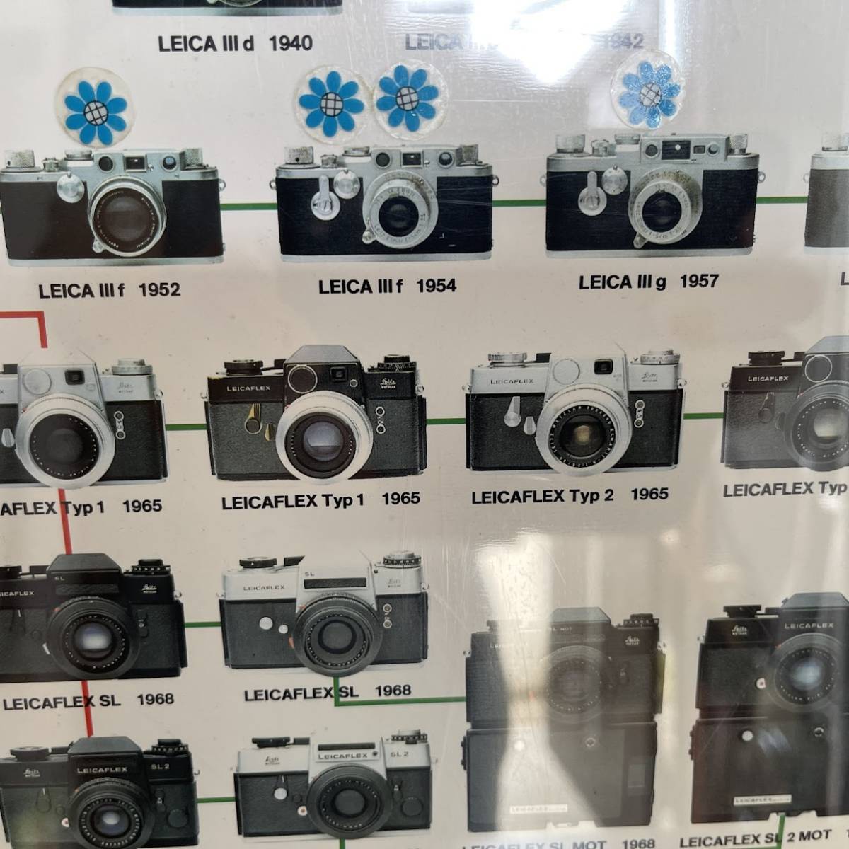 AD) 海外製品 Printed in Italy Nr.222 [LEICA-STAMMBAUM] Family Tree ポスター  額サイズ(H60 W42.5) ライカ カメラ ビンテージ ジャンク