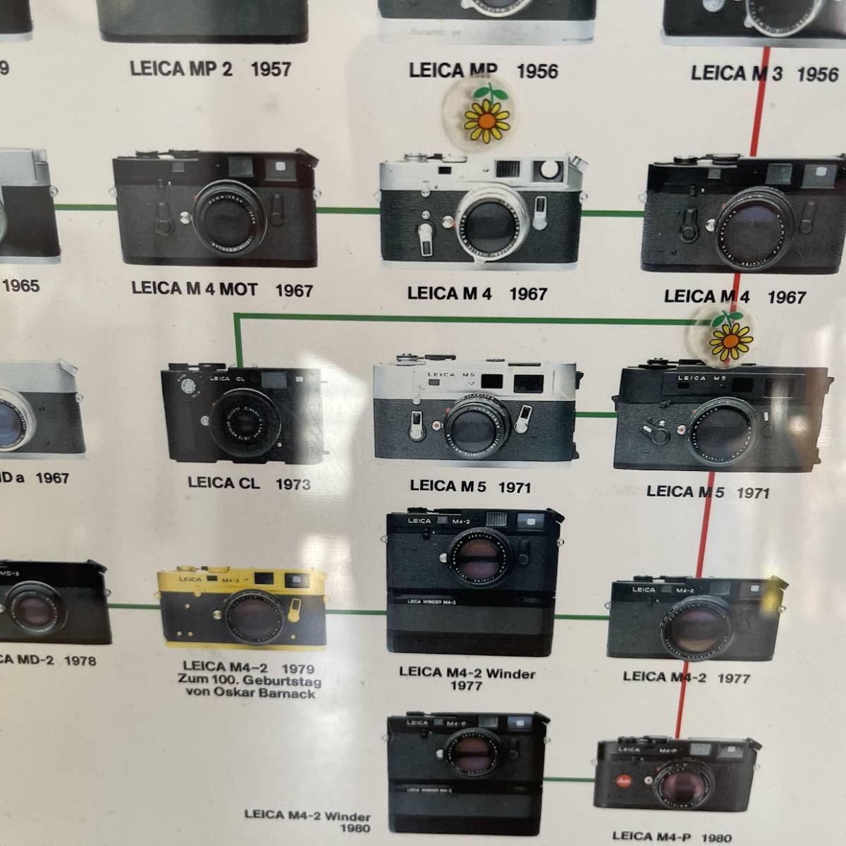 (AD) abroad product Printed in Italy Nr.222 [LEICA-STAMMBAUM] Family Tree poster amount size (H60 W42.5) Leica camera Vintage Junk 