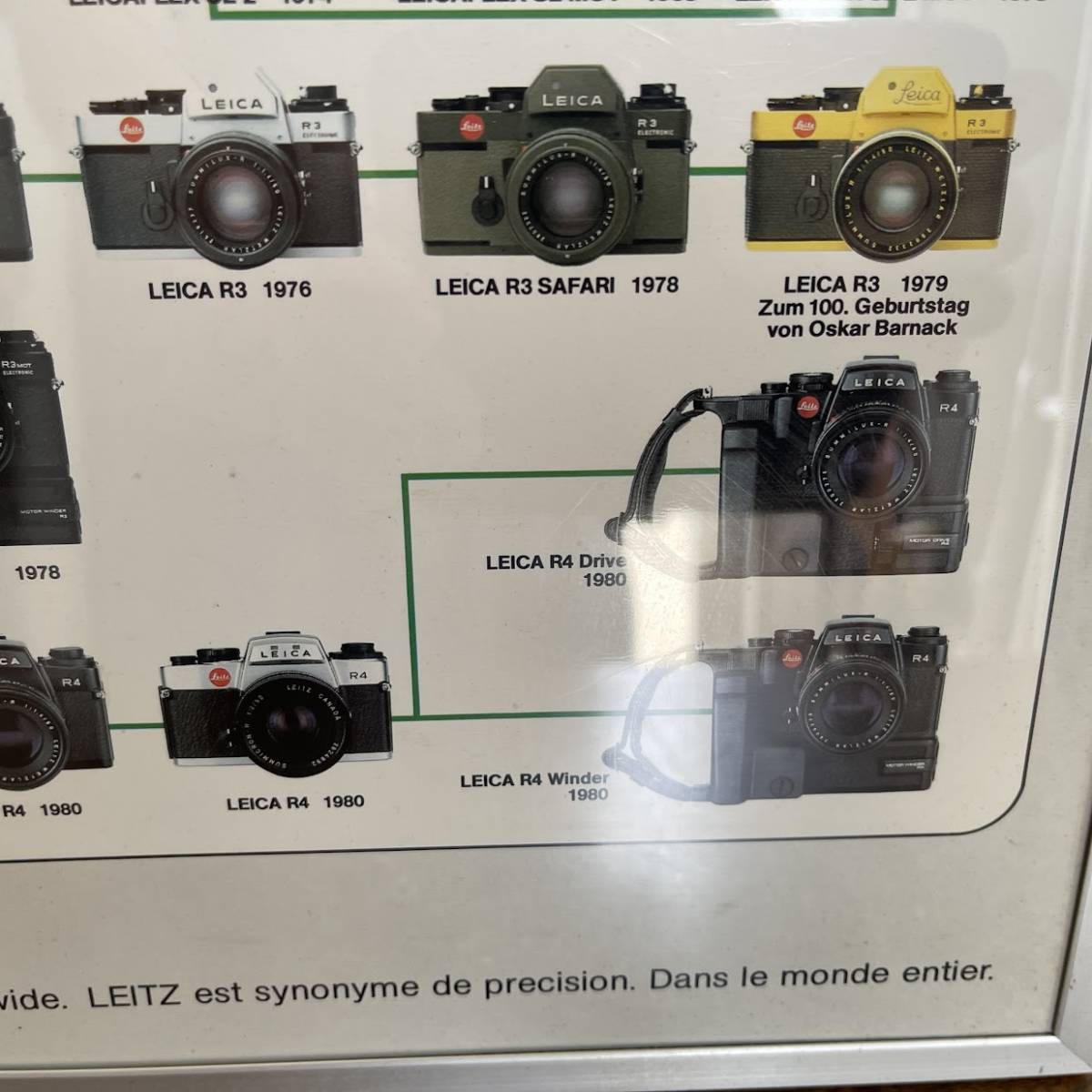 (AD) abroad product Printed in Italy Nr.222 [LEICA-STAMMBAUM] Family Tree poster amount size (H60 W42.5) Leica camera Vintage Junk 