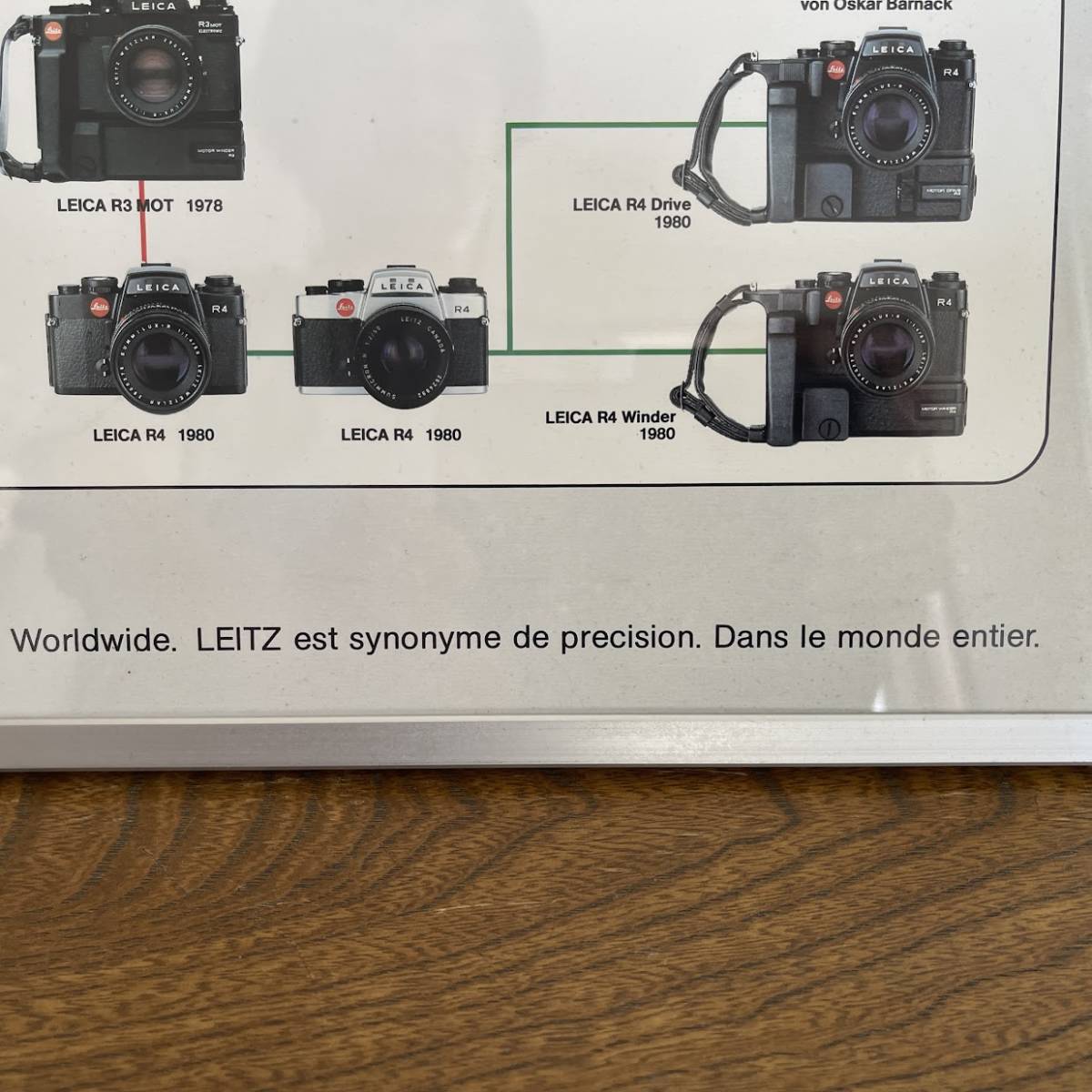 (AD) abroad product Printed in Italy Nr.222 [LEICA-STAMMBAUM] Family Tree poster amount size (H60 W42.5) Leica camera Vintage Junk 