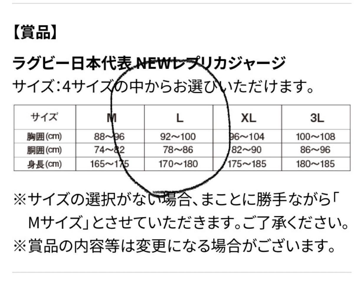 アサヒビール当選品　２０２３　ラグビー日本代表　NEW レプリカジャージ　Ｌ