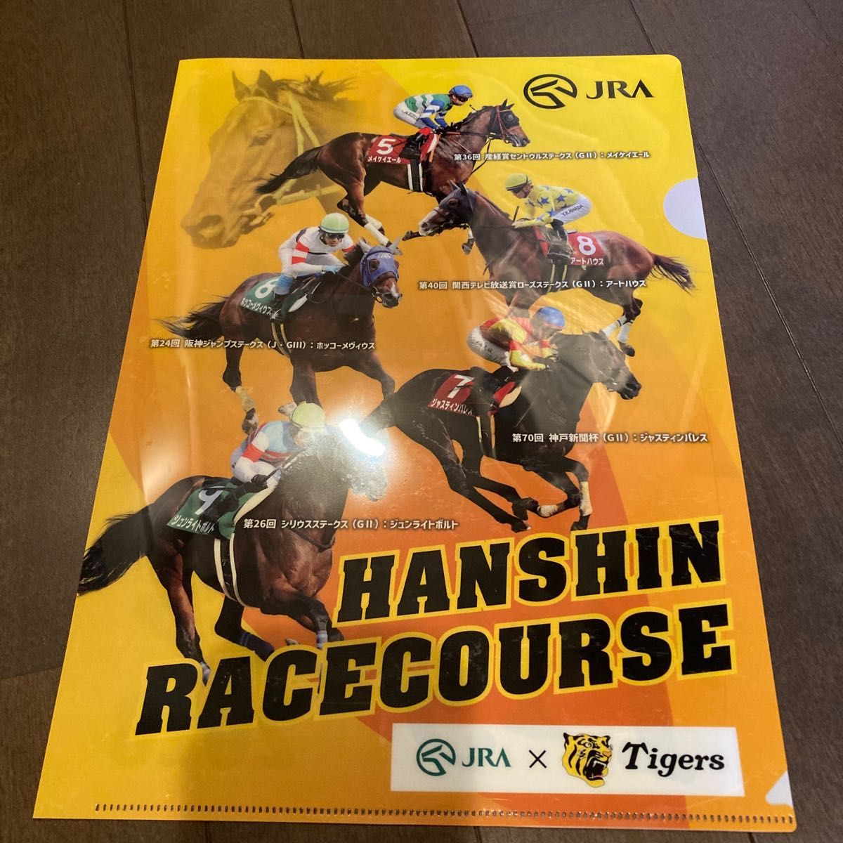 競馬グッズ クリアファイル23枚 競馬 JRA