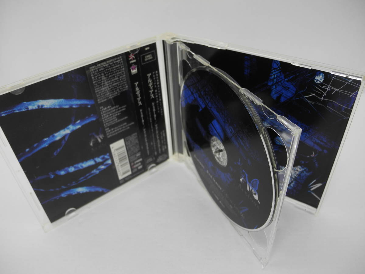 D15675【CD＆DVD】Dominator/I Don’t Like Me/アルディアス (DVD付 2枚組)_画像3