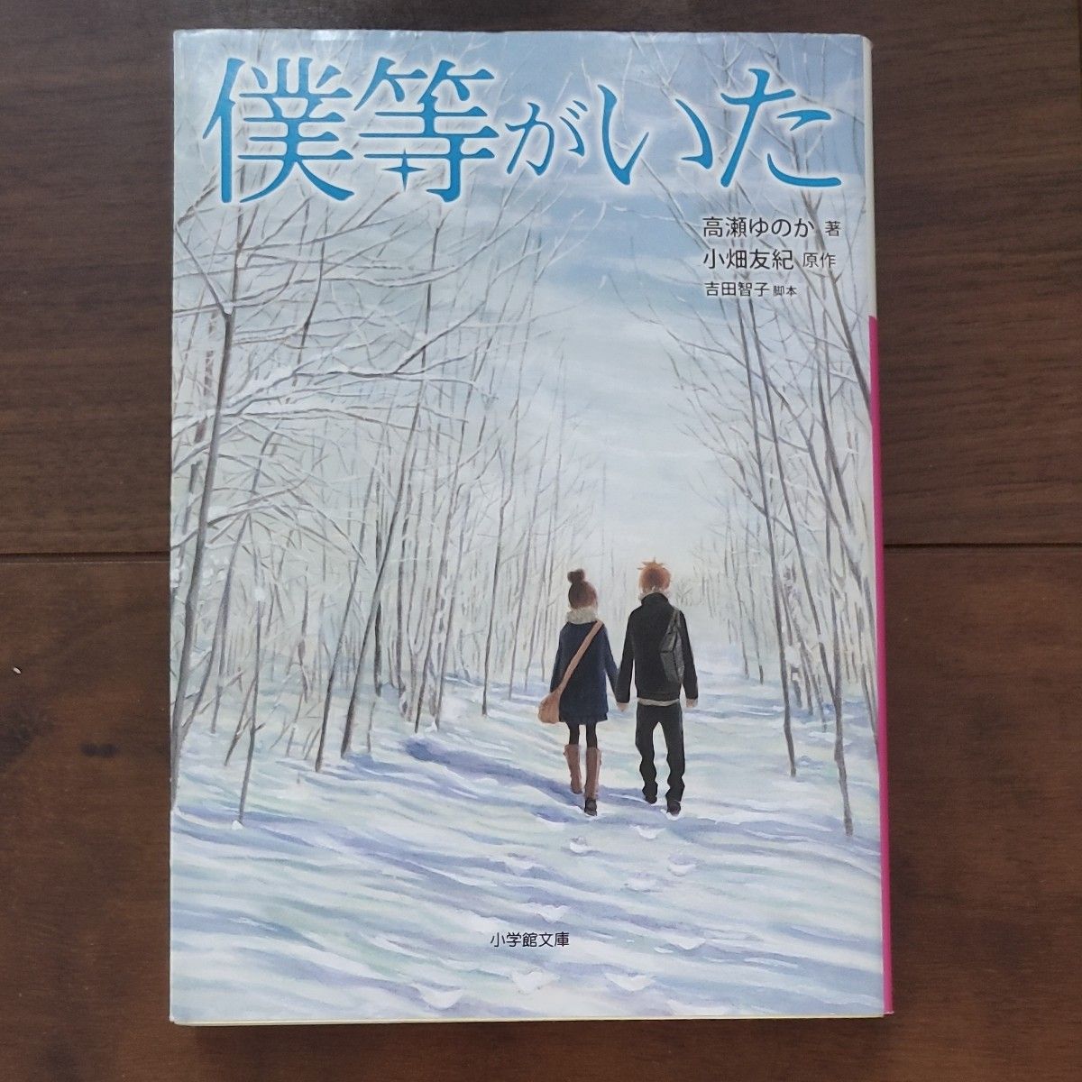 僕等がいた （小学館文庫　た２０－１） 高瀬ゆのか／著　小畑友紀／原作　吉田智子／脚本