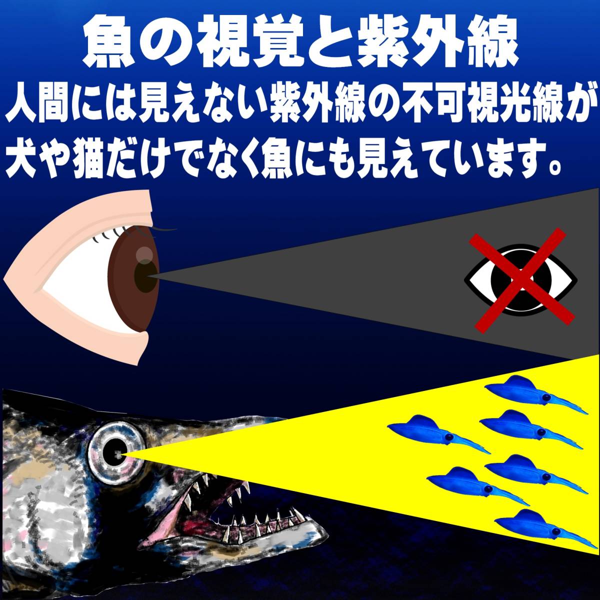 太刀魚 仕掛け 船 太刀魚仕掛け ケイムラピンク&パープルツートンコンビフラッシャー ワイヤー直径0.27mm 10cm 釣り侍のデコ針 山下漁具店