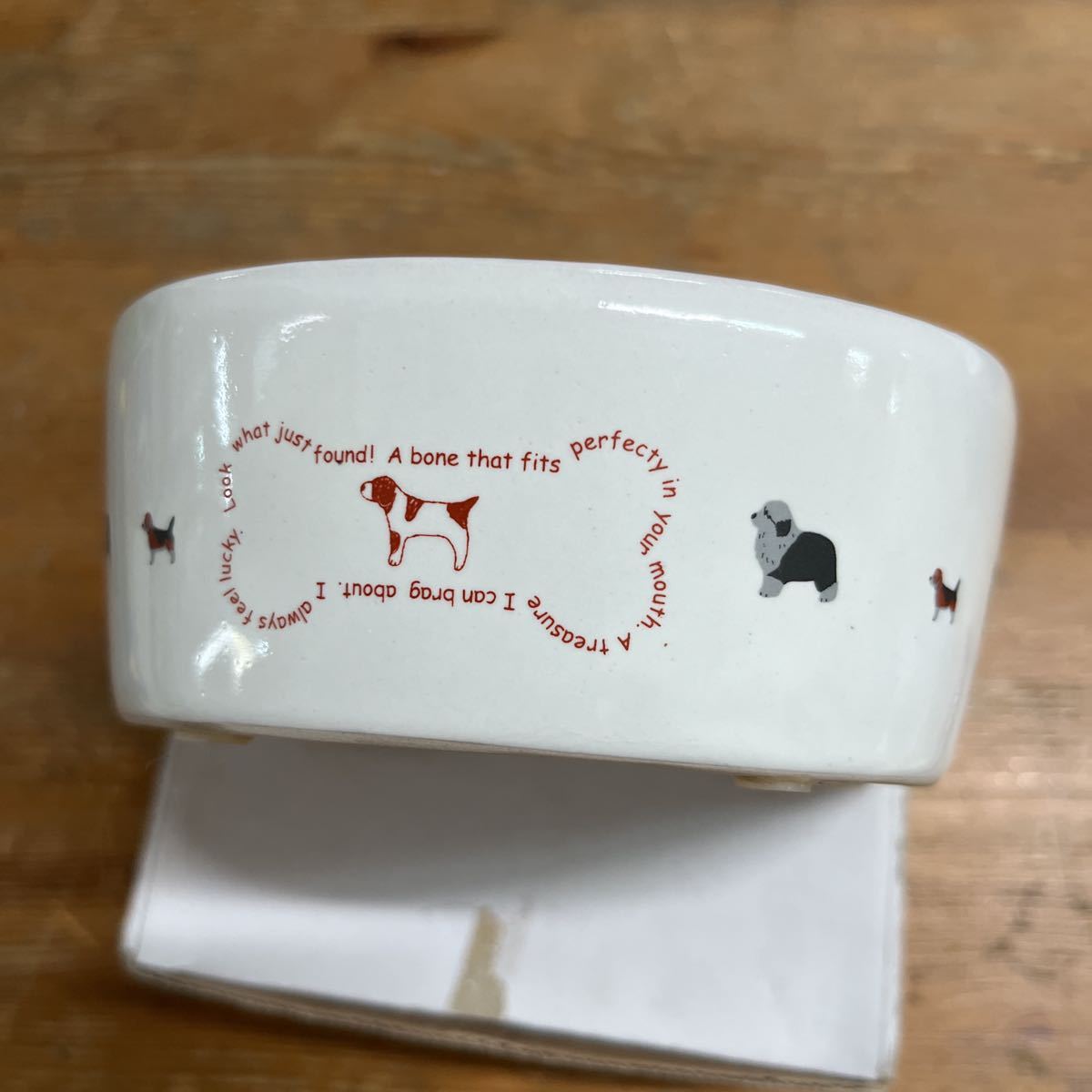 ペティオ　W23397 犬用陶器食器メモリ付　ボーンM 未使用品_画像2