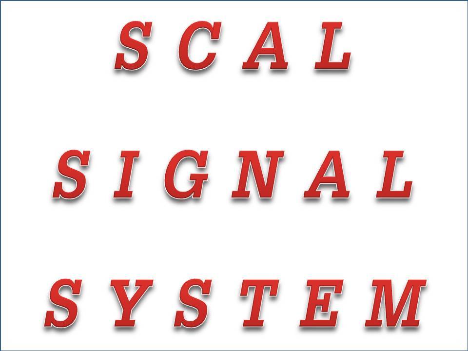 FX tool *skyaru signal system * ( inspection ) scalping MT4baina Lee option automatic sales EA Date re swing Scalping high low BO