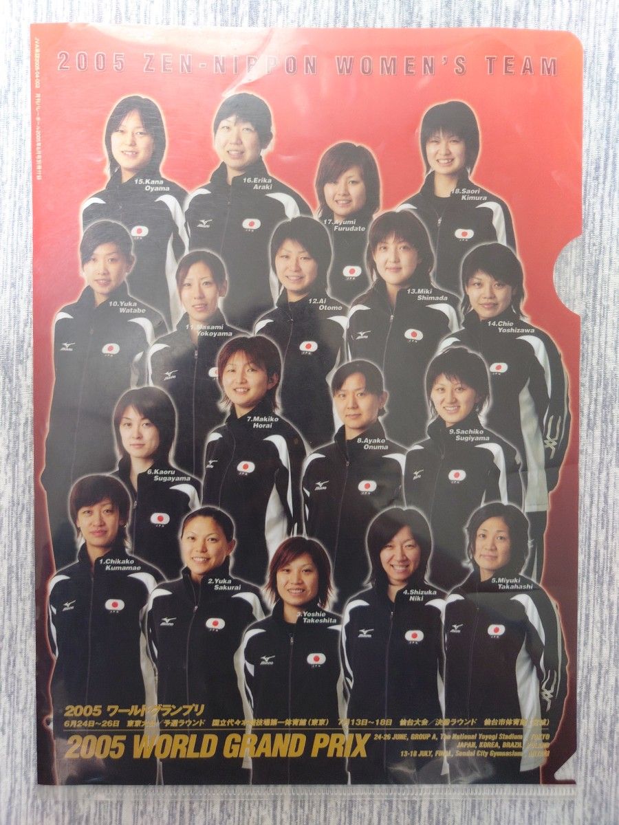女子バレー　2015　2016　日本代表　クリアファイル　セット　B5