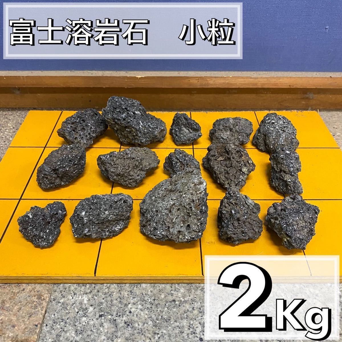 富士溶岩石 2kg アクアリウム 水槽レイアウト アロマ パルダリウム