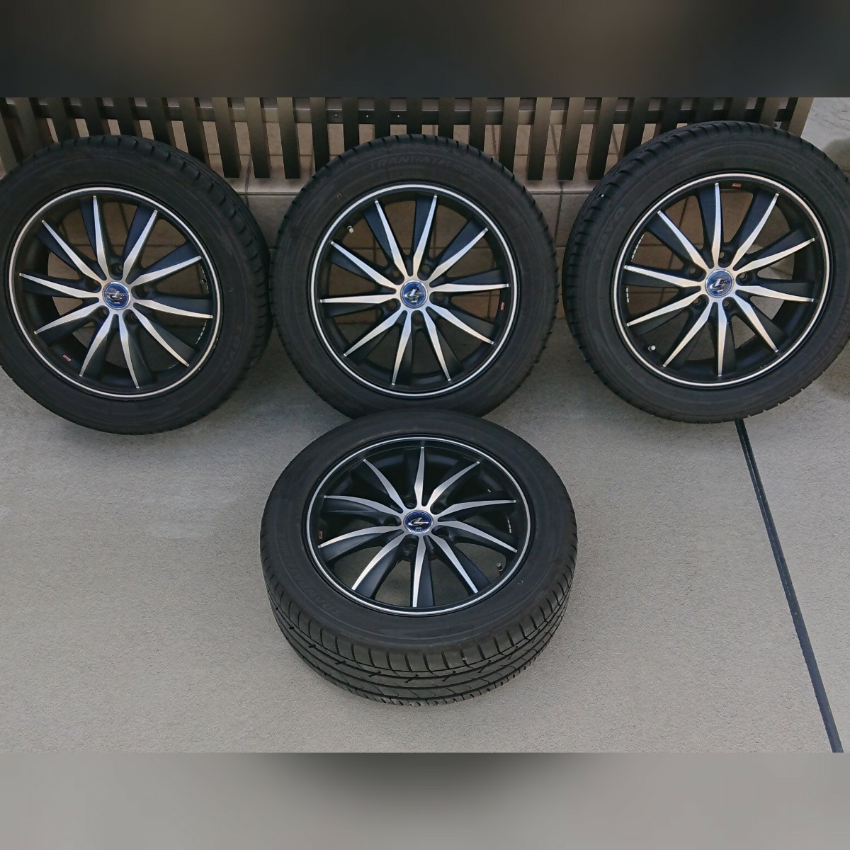 レオニス 限定色 マットブラック×マットシルバー TOYO TRANPATH mpZ