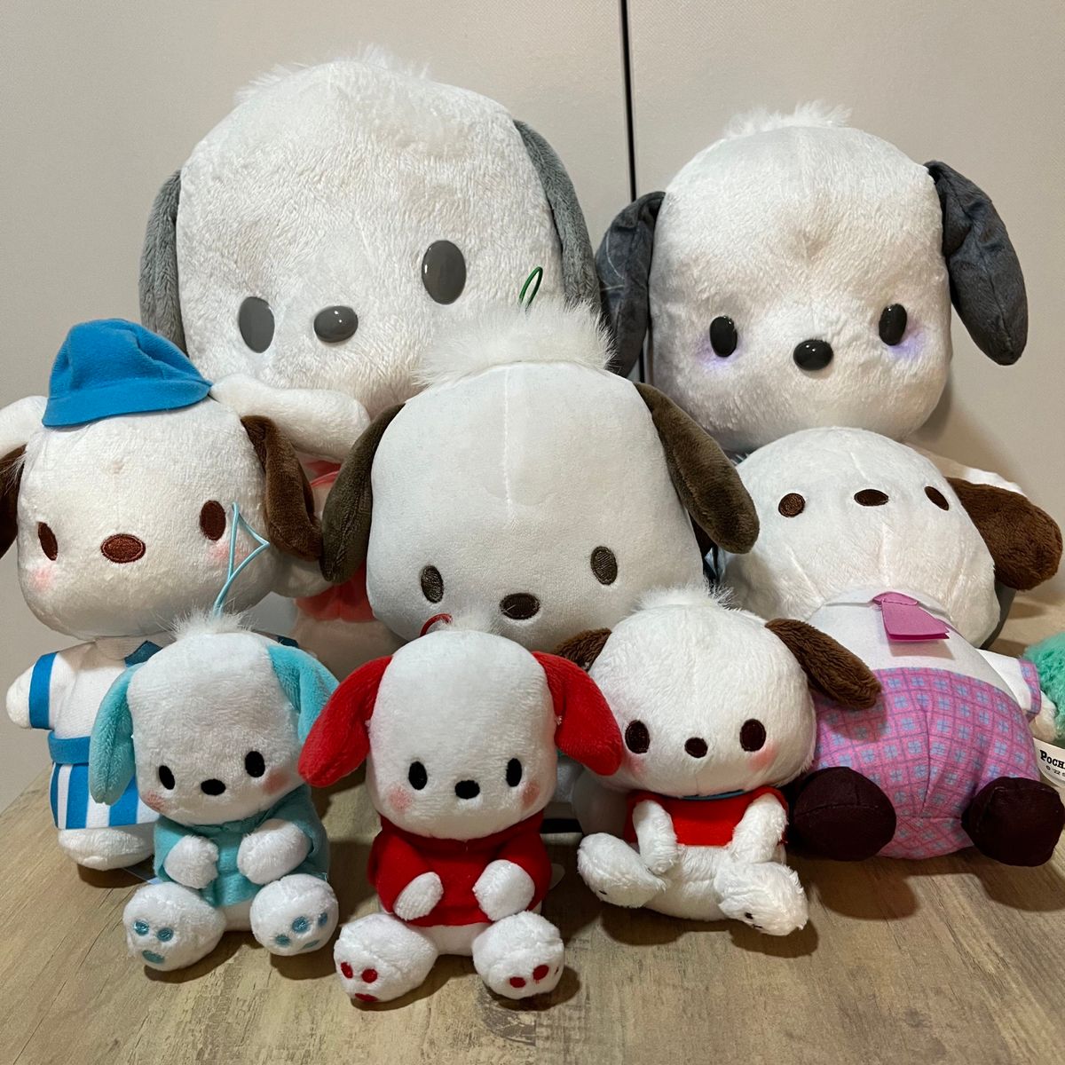 ポチャッコ ぬいぐるみ ポチャッコ8点セット サンリオ プライズ ポチャッコ ぬいぐるみ ポチャッコ8点セット サンリオ プライズ