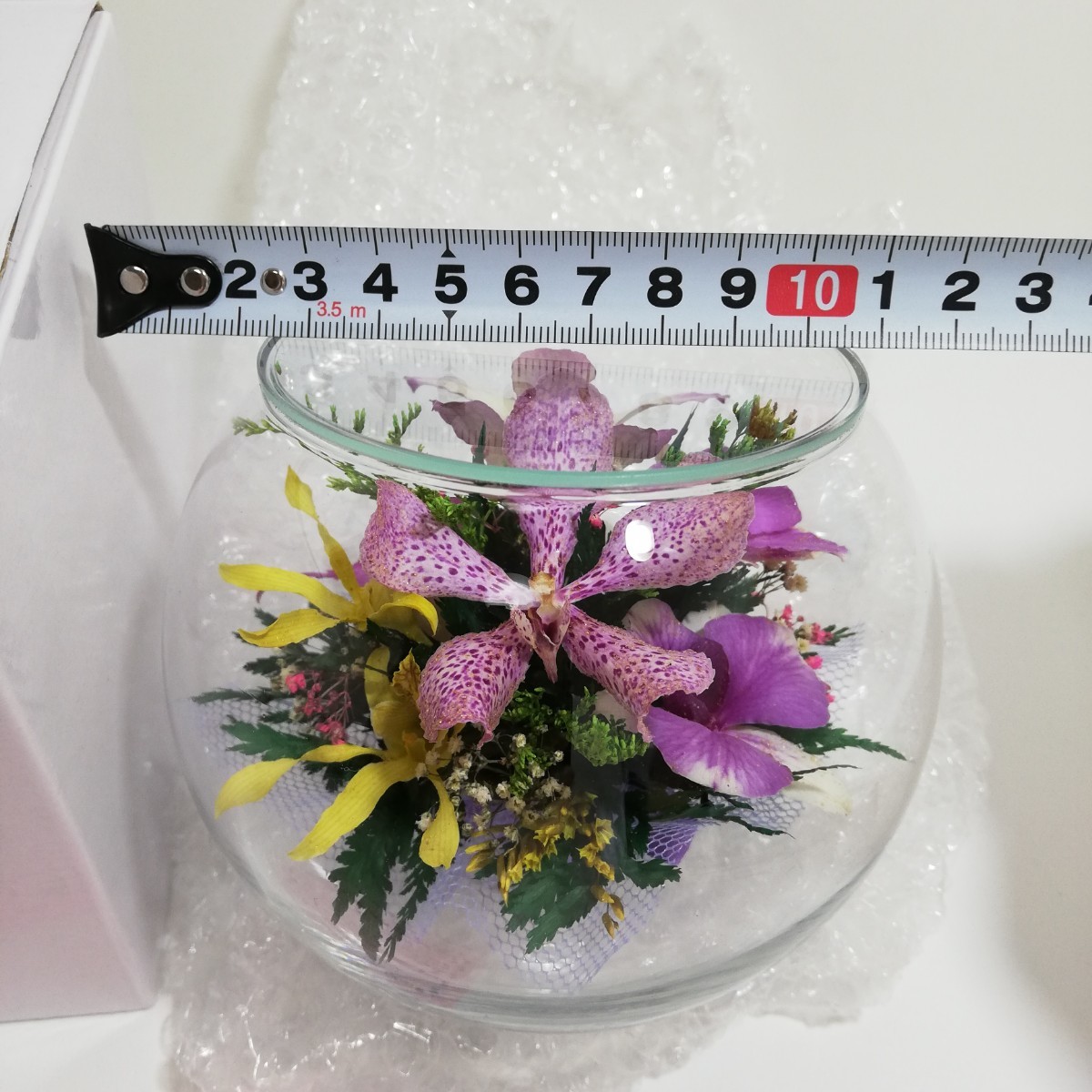  glass made bottle glass entering high class dry flower orchid Mix diameter 12cm× height 9.7cm unused goods [ flower ornament Ran orchid orchid. flower interior miscellaneous goods ]