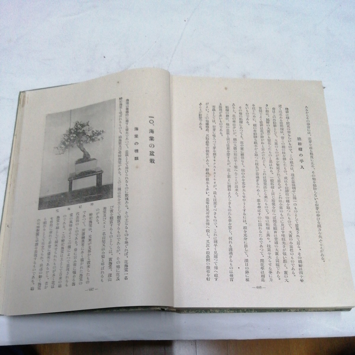  Showa 8 год обобщенный садоводство большой серия итого 4 шт. Ishii ..* Ogawa . сосна бонсай теплица растения . корень античный литература 