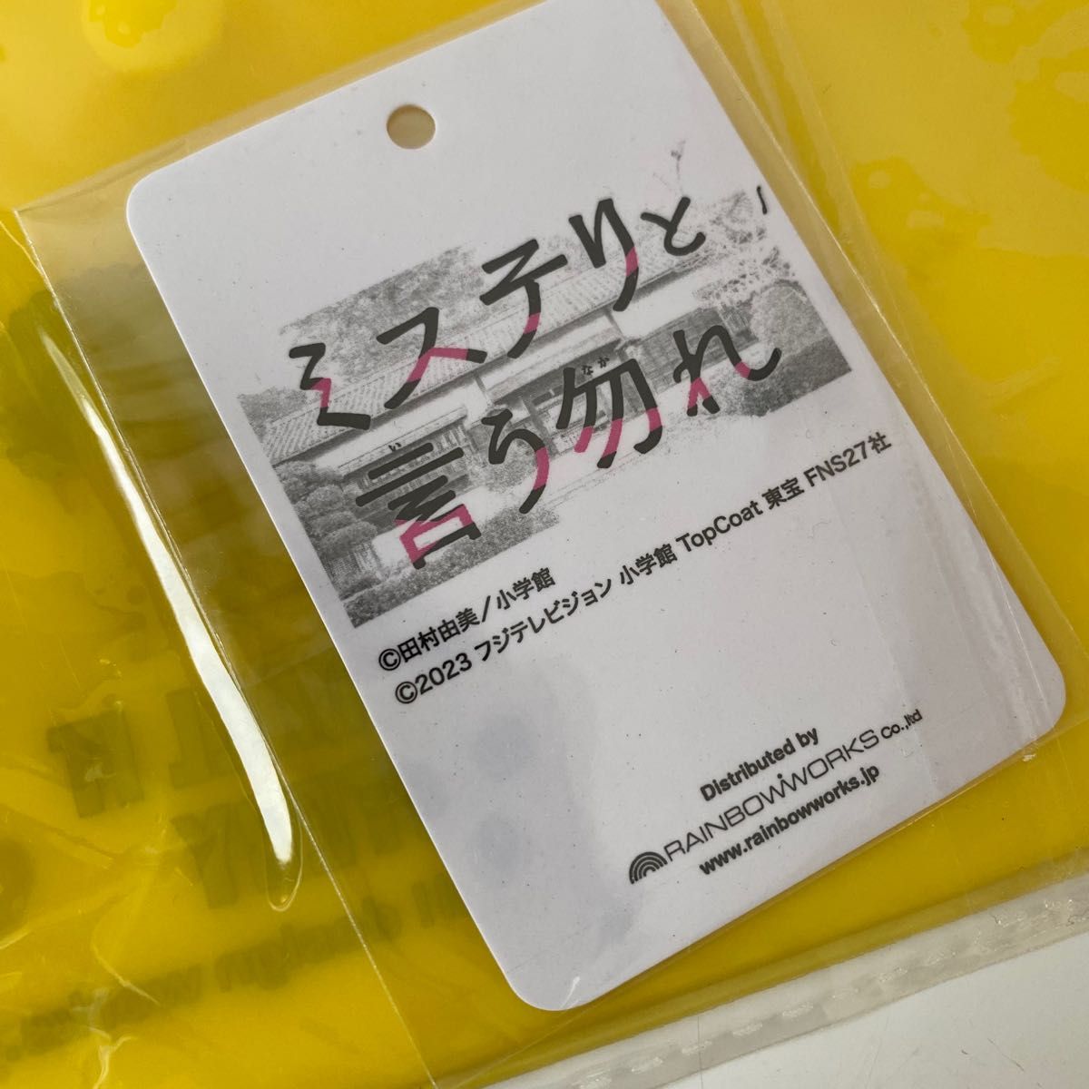 「ミステリと言う勿れ」　PVCケース　トーホーシネマズ　菅田将暉　久能整　田村由美　小物収納