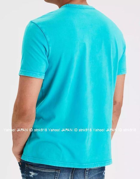 〓アメリカンイーグル/US XXXL/AE Flocked Graphic Tシャツ/Green_画像3