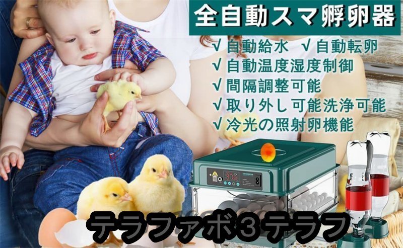  birds exclusive use . egg vessel .. vessel newest automatic . egg vessel in kyu Beta -. temperature vessel a Hill chicken egg a Hill .... temperature .. vessel (24 sheets ) automatic rotation egg type 