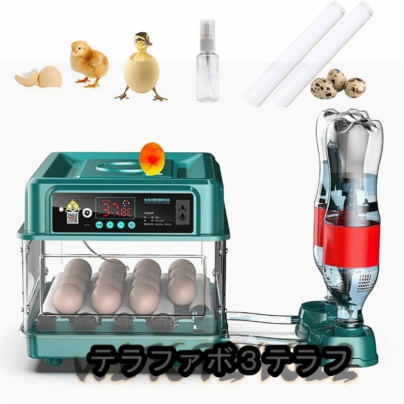  birds exclusive use . egg vessel .. vessel newest automatic . egg vessel in kyu Beta -. temperature vessel a Hill chicken egg a Hill .... temperature .. vessel (24 sheets ) automatic rotation egg type 