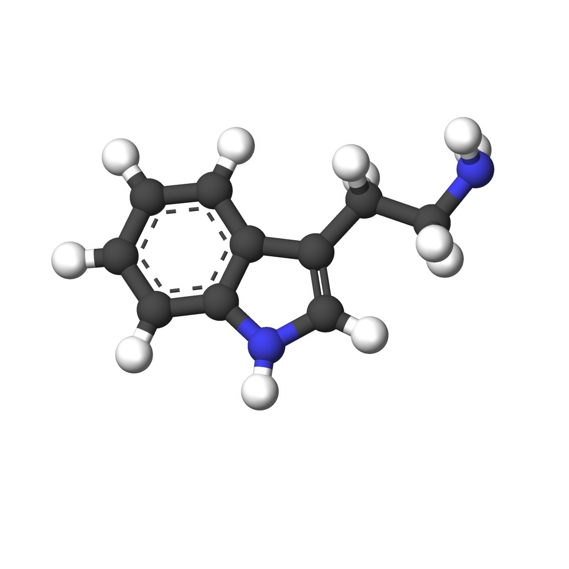 トリプタミン(遊離塩基) 99% 50g 3-(アミノエチル)インドール 有機化合物標本 化学薬品 送料無料の画像1