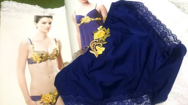 Wacoal/ワコール/salute/サルート/店舗限定/迎賓の薔薇/48G/迎賓 Wacoal/ワコール/salute/サルート/店舗限定/迎賓の薔薇/48G/迎賓
