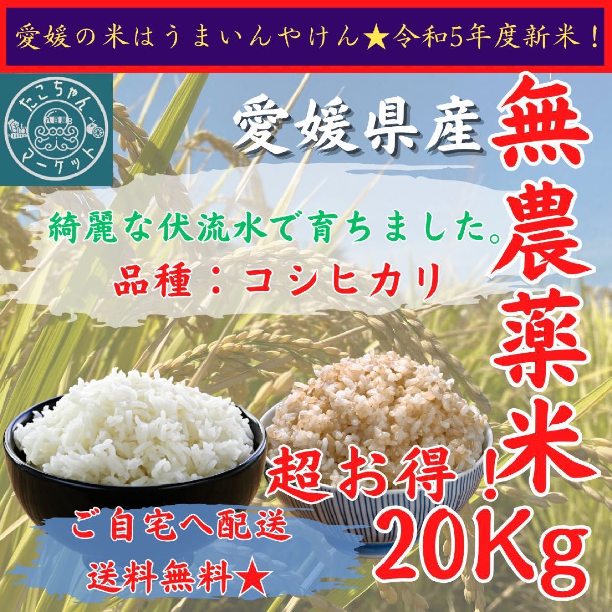 新米セール 無農薬米 令和5年度 【玄米・白米選べます】愛媛県産お米