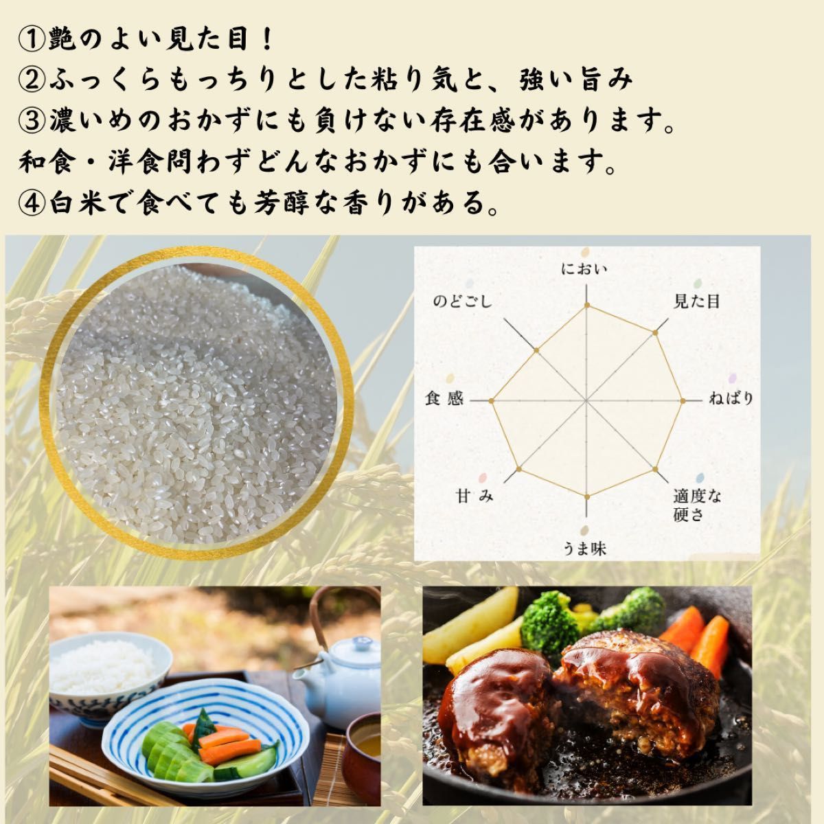新米セール!無農薬米 令和5年度 【玄米・白米選べます】愛媛県産お米 コシヒカリ