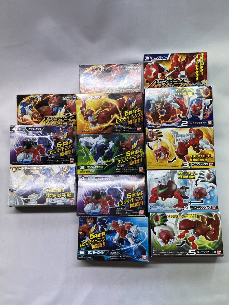 ムゲンバイン:進化合体エヴォルバイン10個セット:ムゲンバーニング