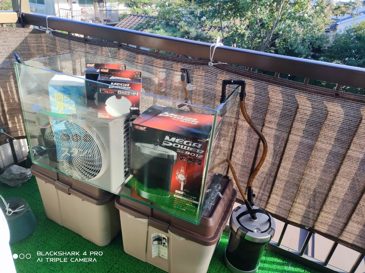 cm水槽セットGEXグラステリア+スタンダードネオ+メガパワー