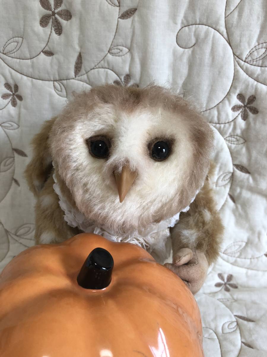 上質で快適 国内人気作家様 不思議フクロウちゃん ハロウィンのお飾り