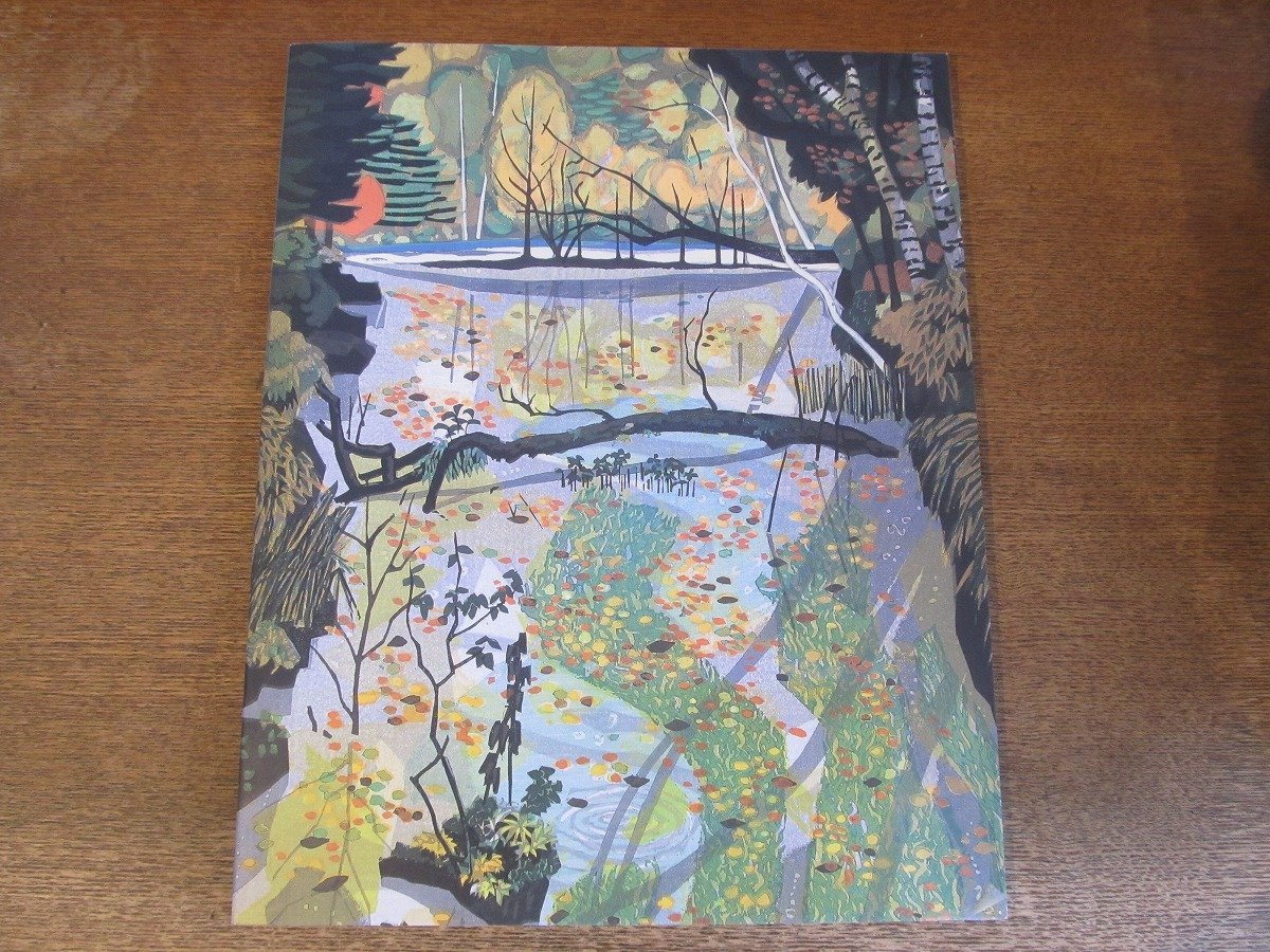 2309MK* альбом с иллюстрациями [ север холм документ самец. мир ] Hokkaido . современное изобразительное искусство павильон /1993* гравюра на дереве 