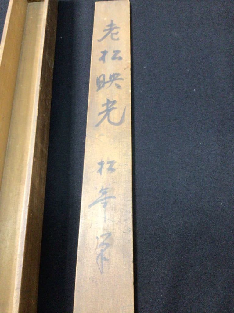 S10211【掛軸】老松映光 肉筆 絹本 中国 在銘 共箱_画像10