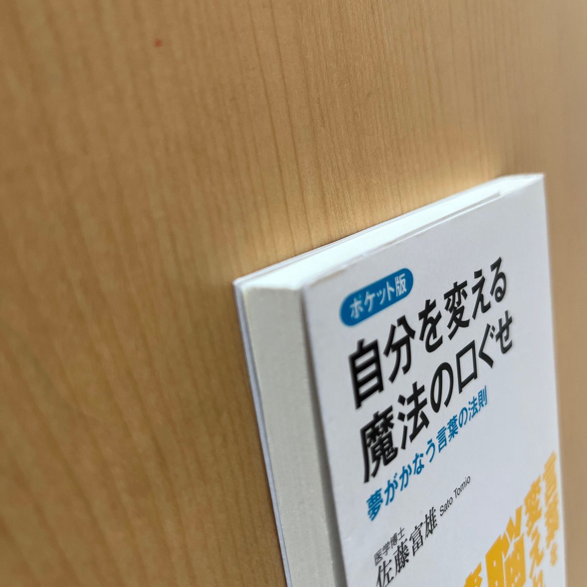 自分を変える魔法の「口ぐせ」　夢がかなう言葉の法則　ポケット版 佐藤富雄／著