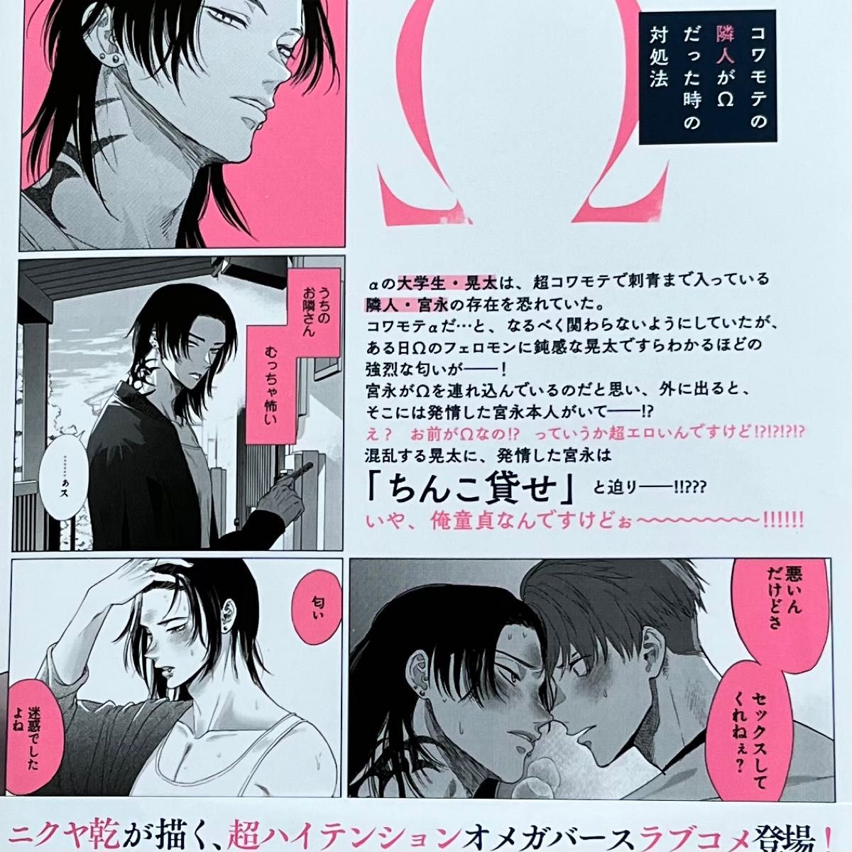 コワモテの隣人がΩだった時の対処法 BL漫画 - その他