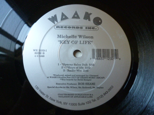 Michelle Wilson / Key Of Life アップリフト VOCAL HOUSE 12 試聴_画像2