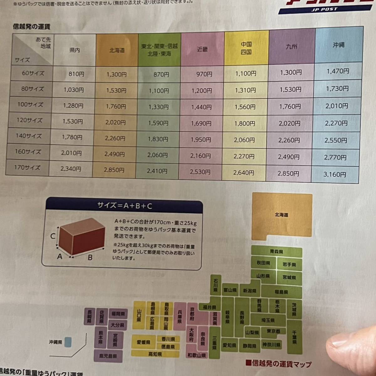 エキノフォスロー 実生 短刺剣恋玉 サボテン多肉植物_画像8