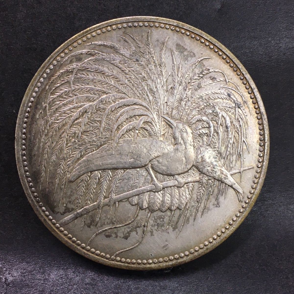 国内在庫】 1894年 ドイツ領ニューギニア 10ペニヒ銅貨 極楽鳥 旧貨幣