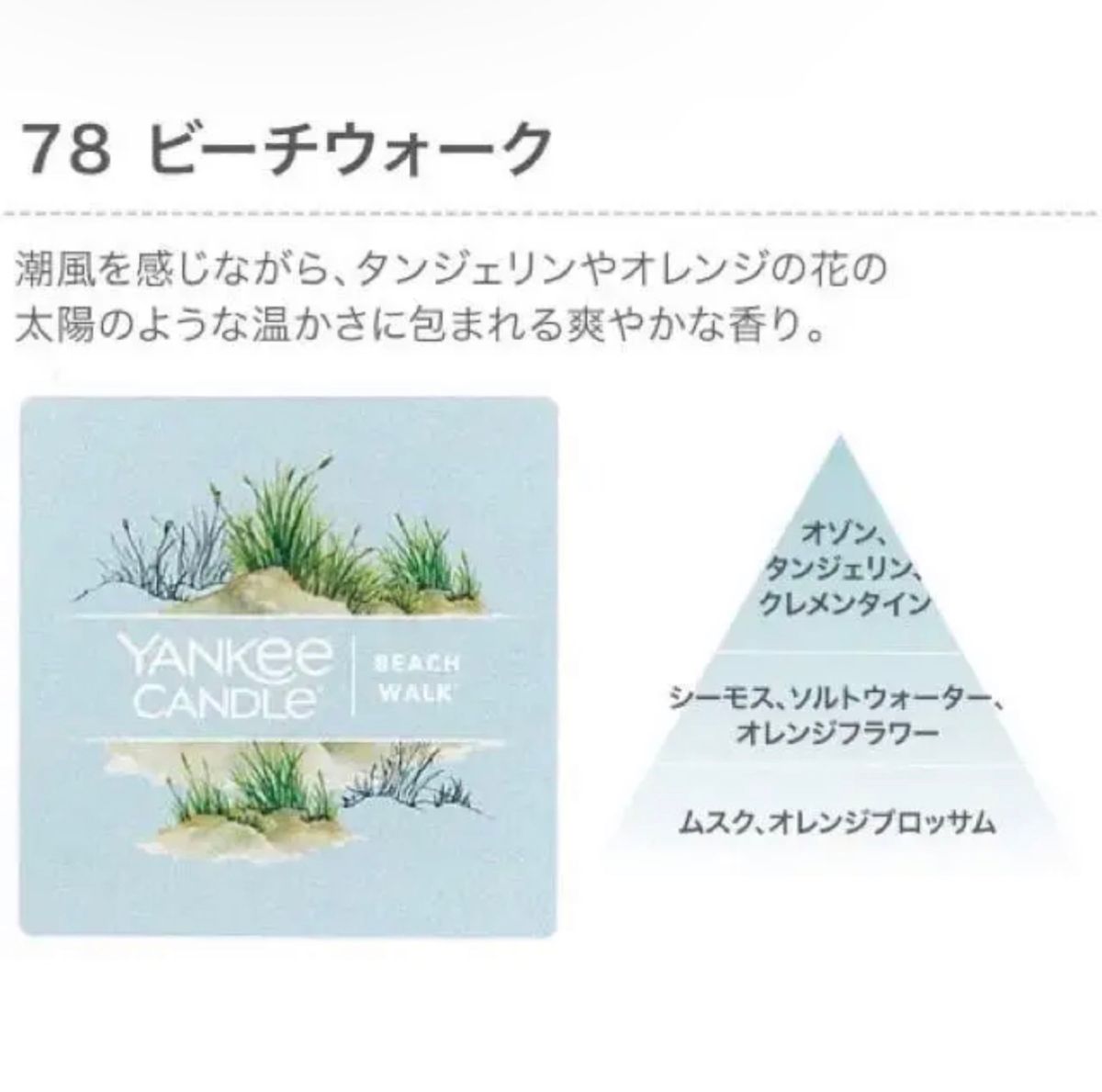 YANKEE CANDLEシグネチャータンブラーミニ ビーチウォーク アロマキャンドル ヤンキーキャンドル ムスク タンジェリン