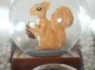 * world. animal * snow dome ornament / squirrel chan/ squirrel! Kirakira lame entering. snow dome sea . kun is complete sale did! squirrel exhibit 