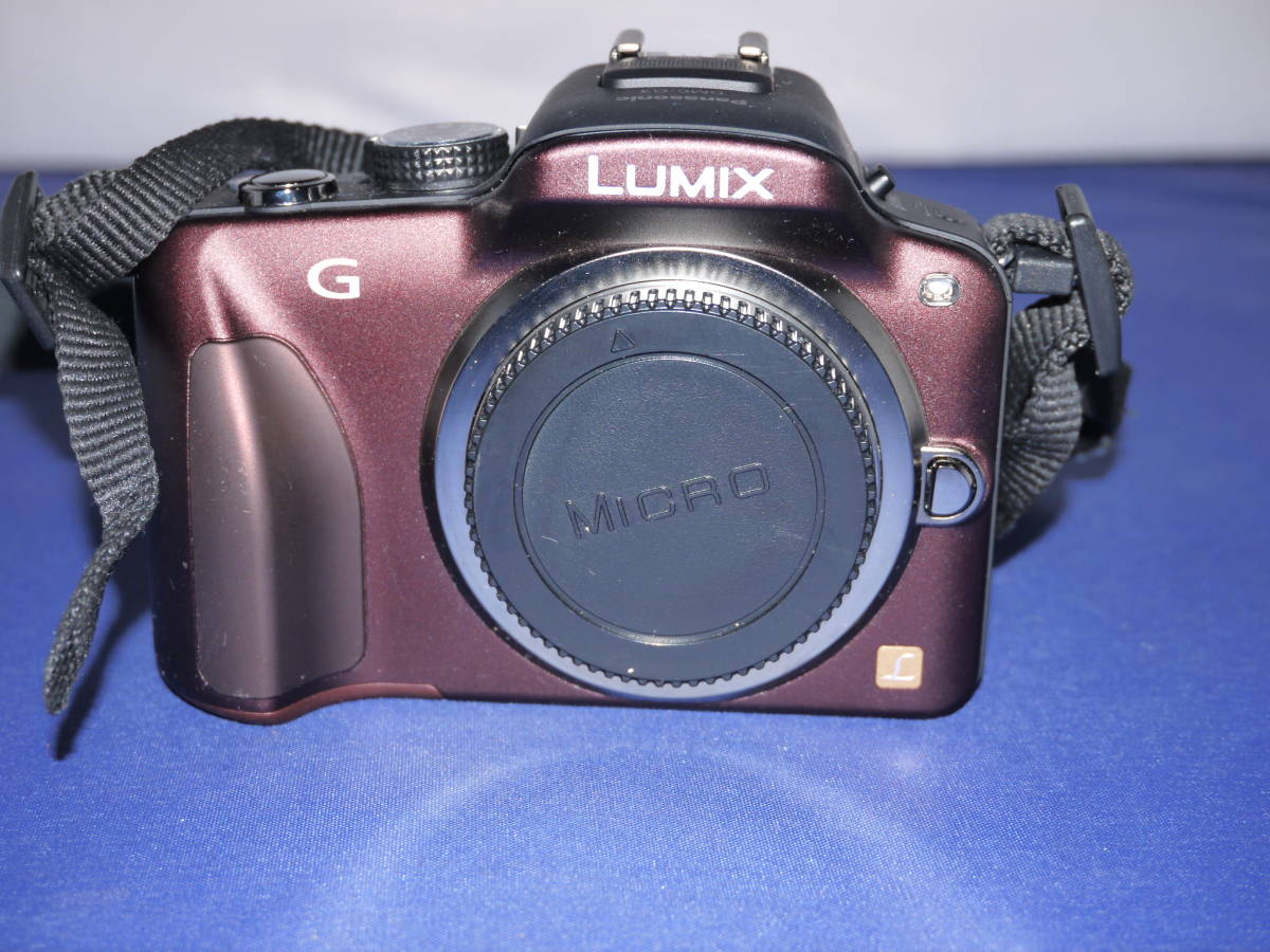 軽量　高画質　Panasonic パナソニック LUMIX G3 ＋LUMIX G VARIO 14-42mm