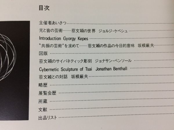 ●K24A●サイバネティックアート●ツァイウェンイン●ふしぎな振動の世界展●1980年●朝日新聞社●即決_画像3