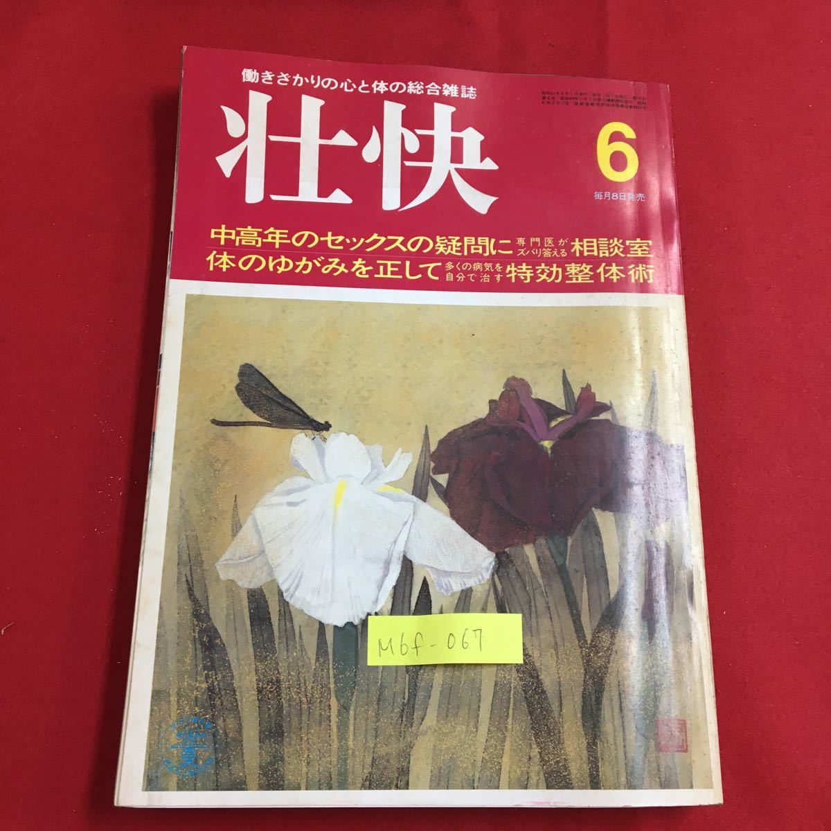 M6f-067 壮快 6 働きざかりの心と体の総合雑誌 専門医がズバリ答える相談室 体のゆがみを正して 特効整体術 昭和61年6月1日発行_画像1