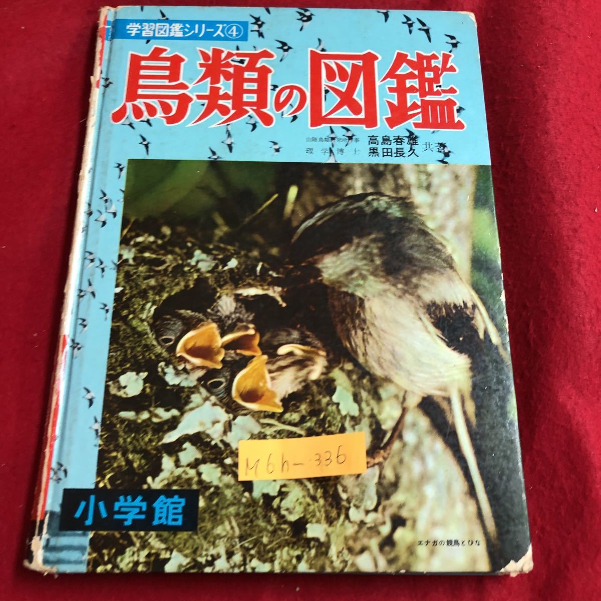 M6h-336 学習図鑑シリーズ 4 鳥類の図鑑 小学館 野山や町の留鳥 冬日本にくる小鳥 山野ワシ・タカのなかま_画像1